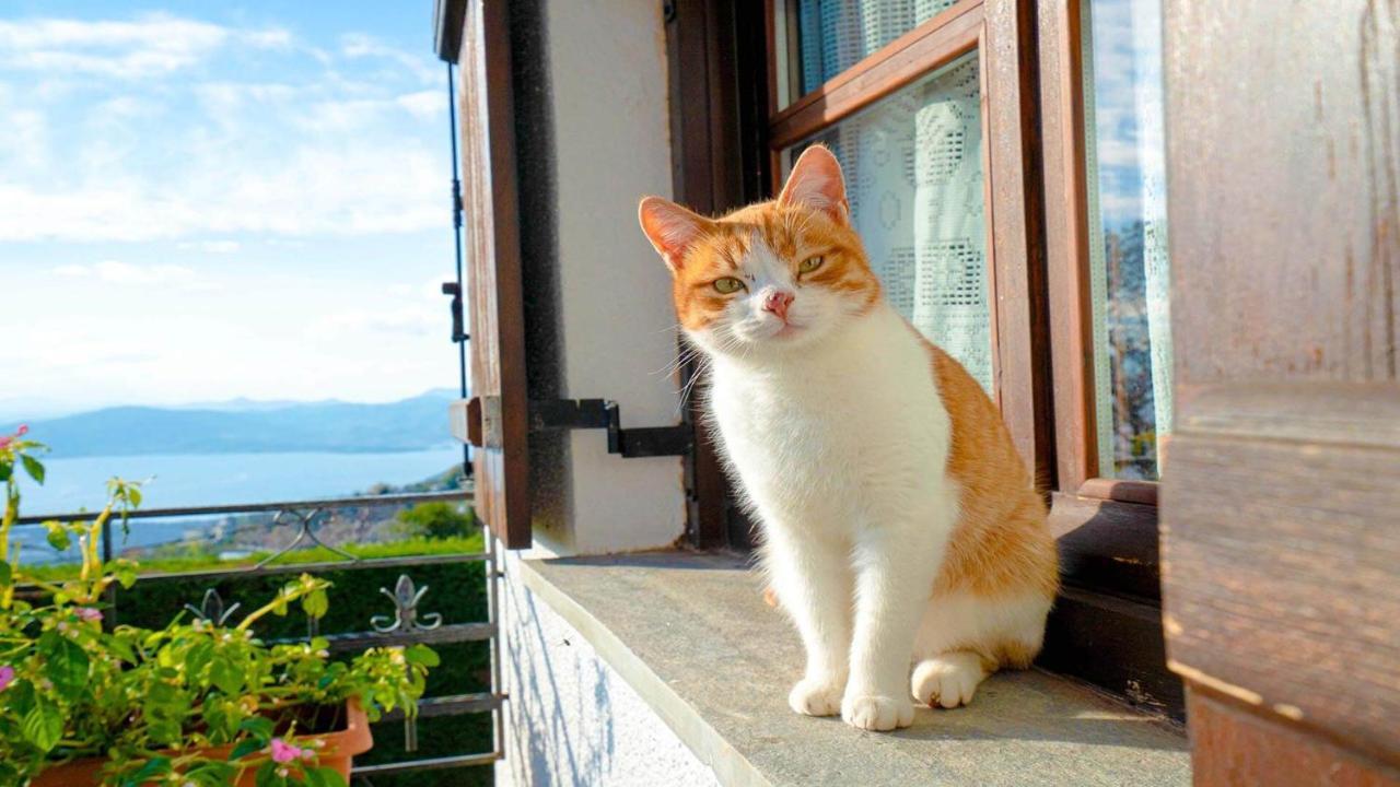 Apartmán Chrissi Nefeli Agios Georgios Nilias Exteriér fotografie